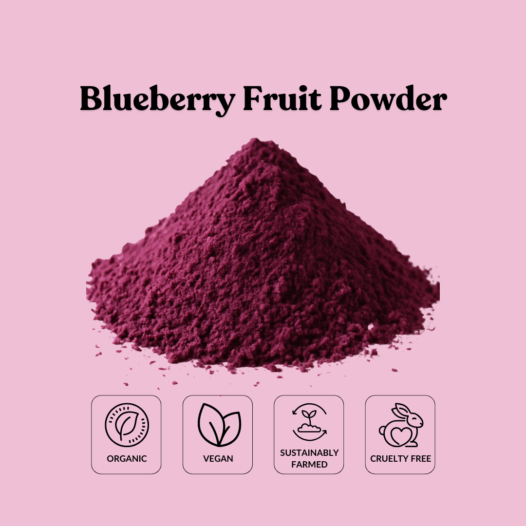 Blueberry Fruit Powder