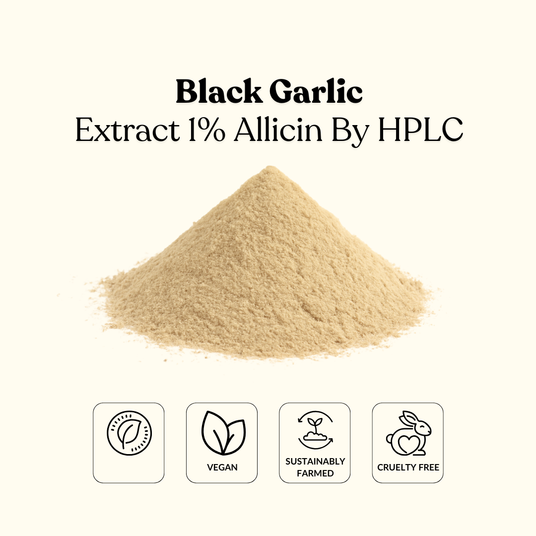 Black Garlic Extract 1% Allicin By HPLC