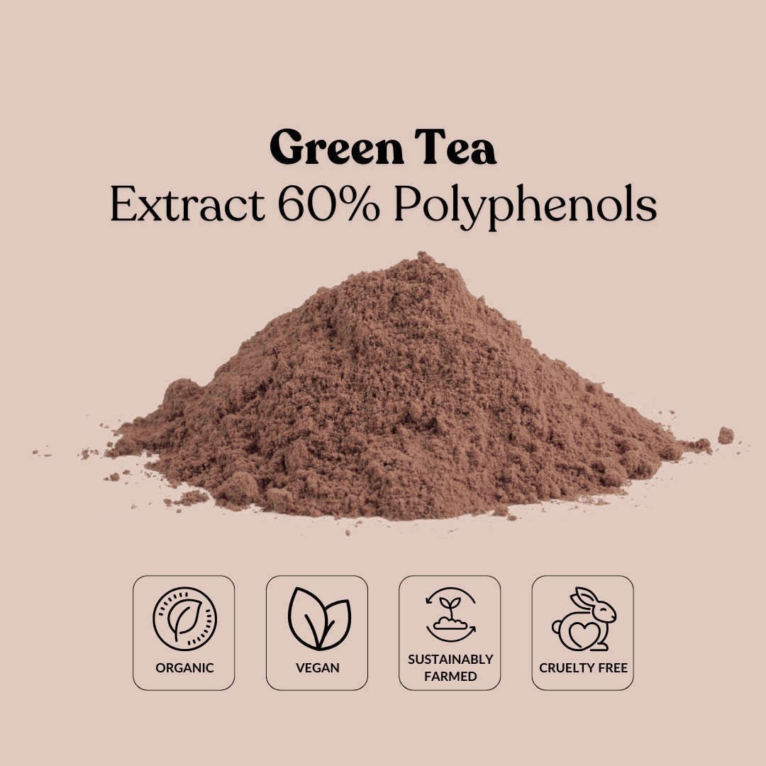 Green Tea Extract 60% Polyphenols