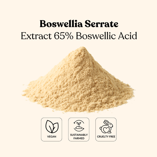 Boswellia Serrate Extract 65% Boswellic Acid