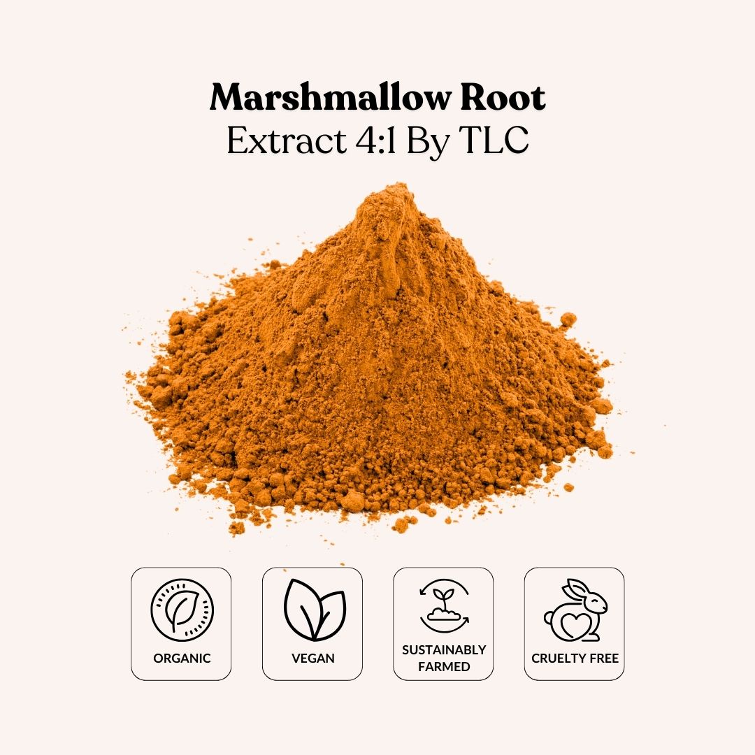 Marshmallow Root Extract 4:1 By TLC