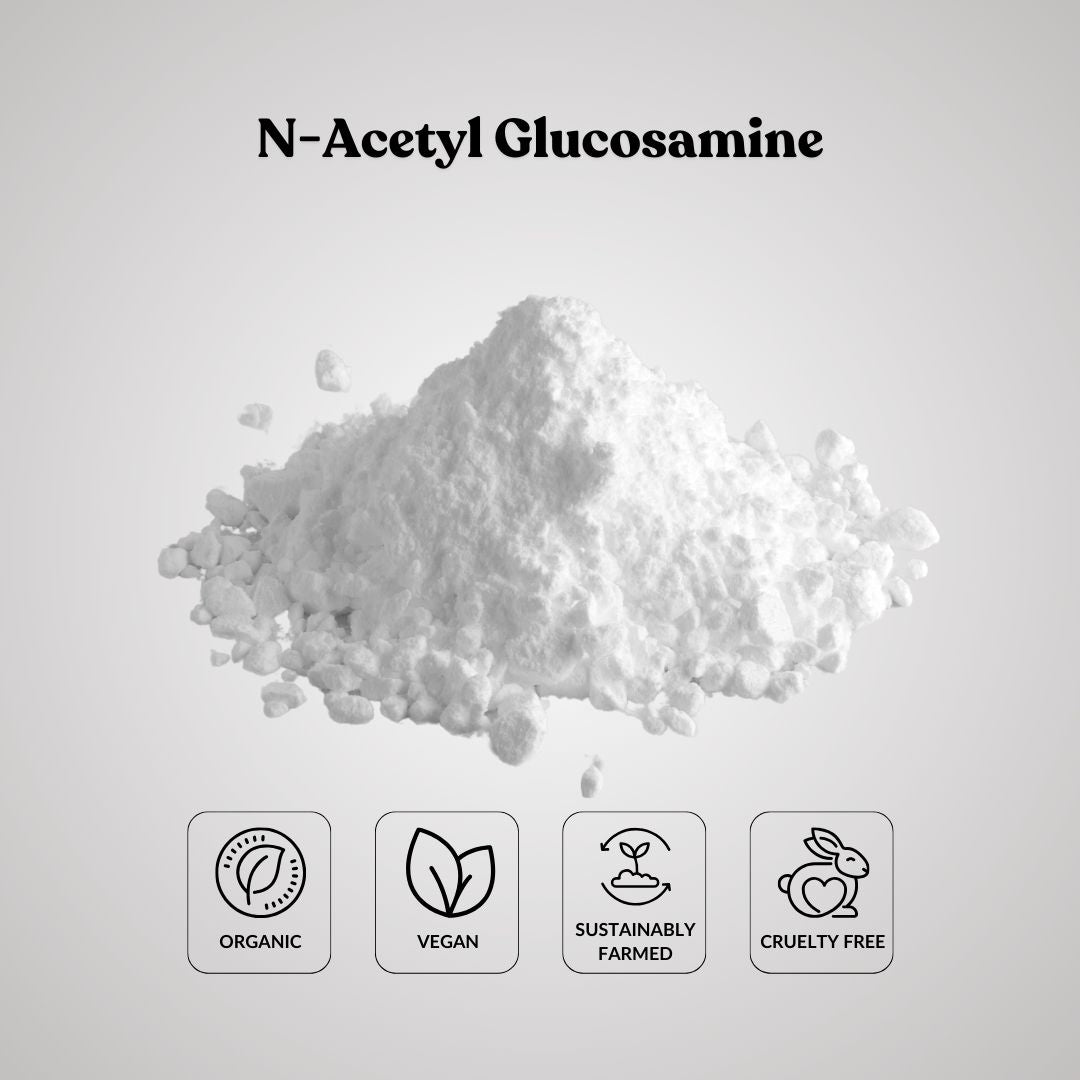 N-Acetyl Glucosamine