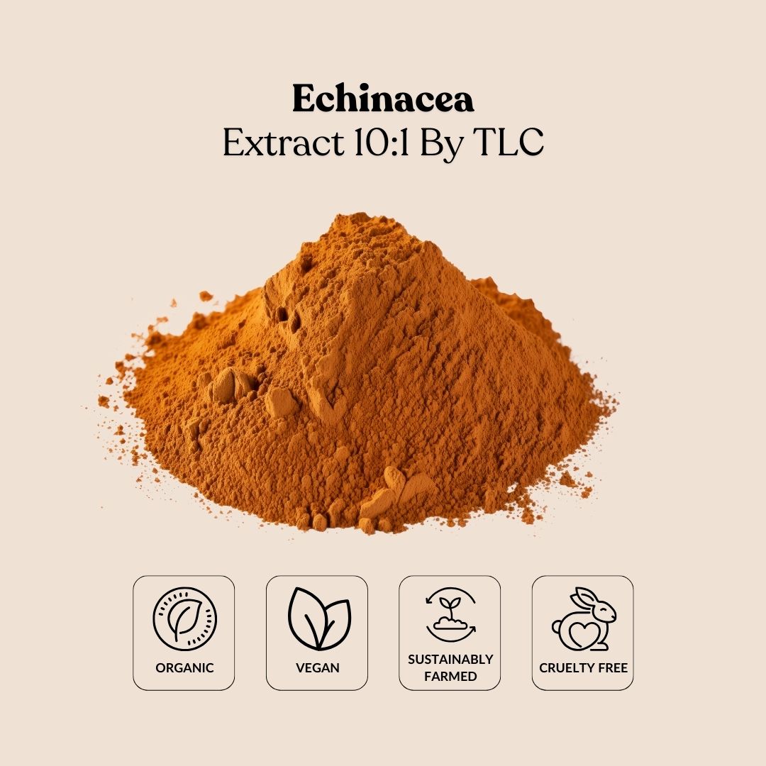 Echinacea Extract 10:1 By TLC