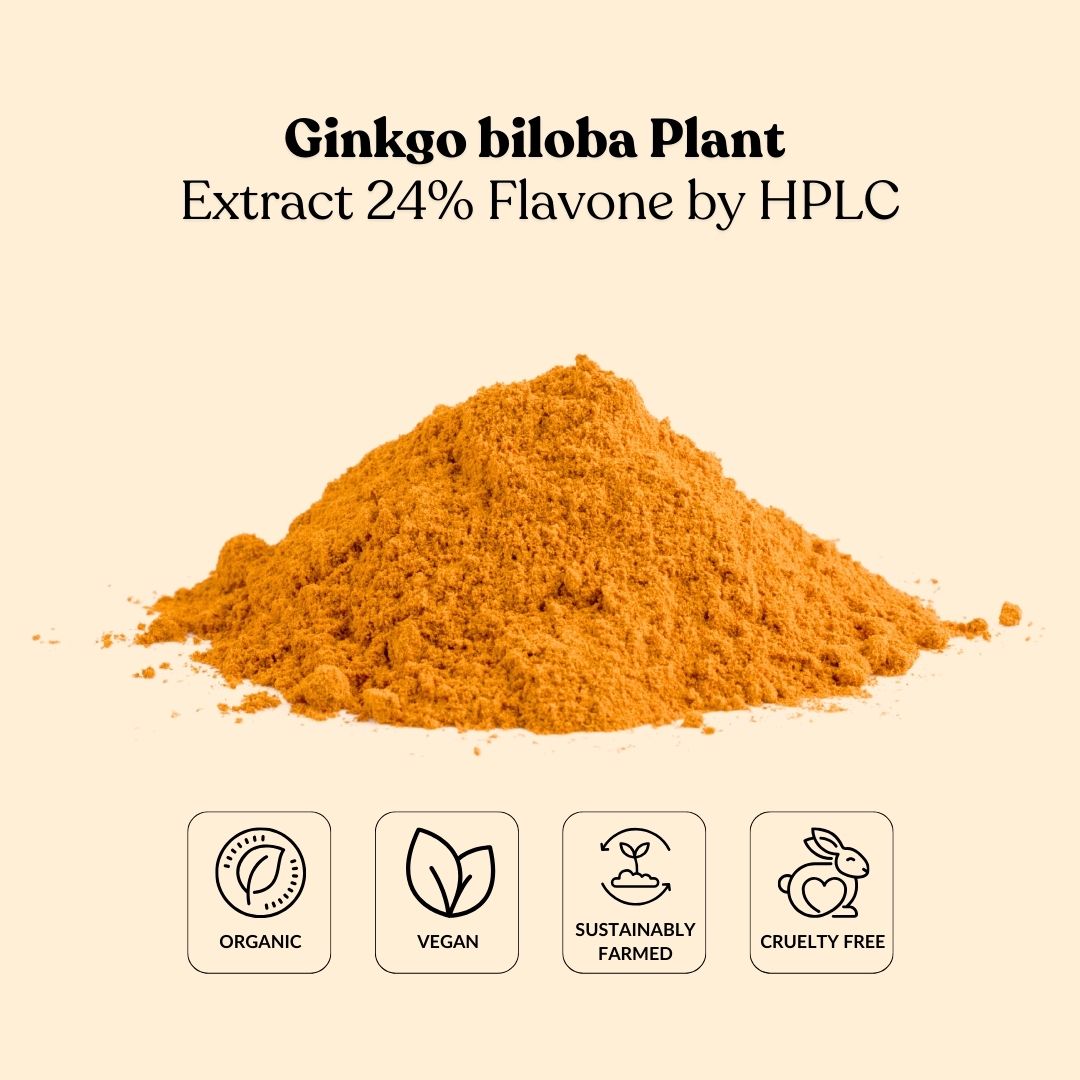 Ginkgo biloba Plant Extract 24% Flavone by HPLC