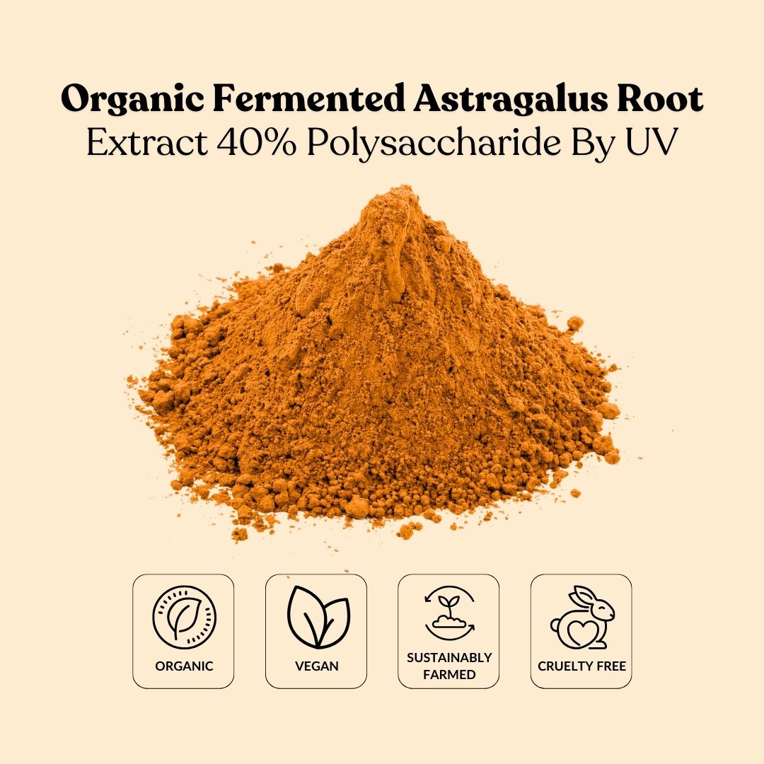 Organic Fermented Astragalus Root Extract 40% Polysaccharide By UV