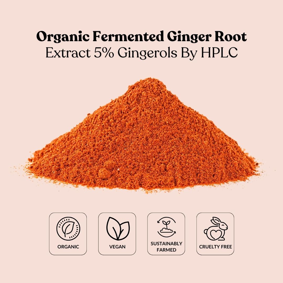 Organic Fermented Ginger Root Extract 5% Gingerols By HPLC