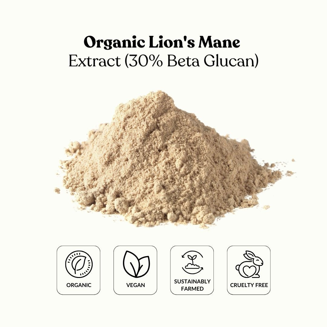 Organic Lion's Mane Extract (30% Beta Glucan)