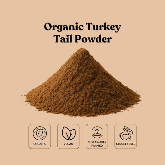 Organic Turkey Tail Powder