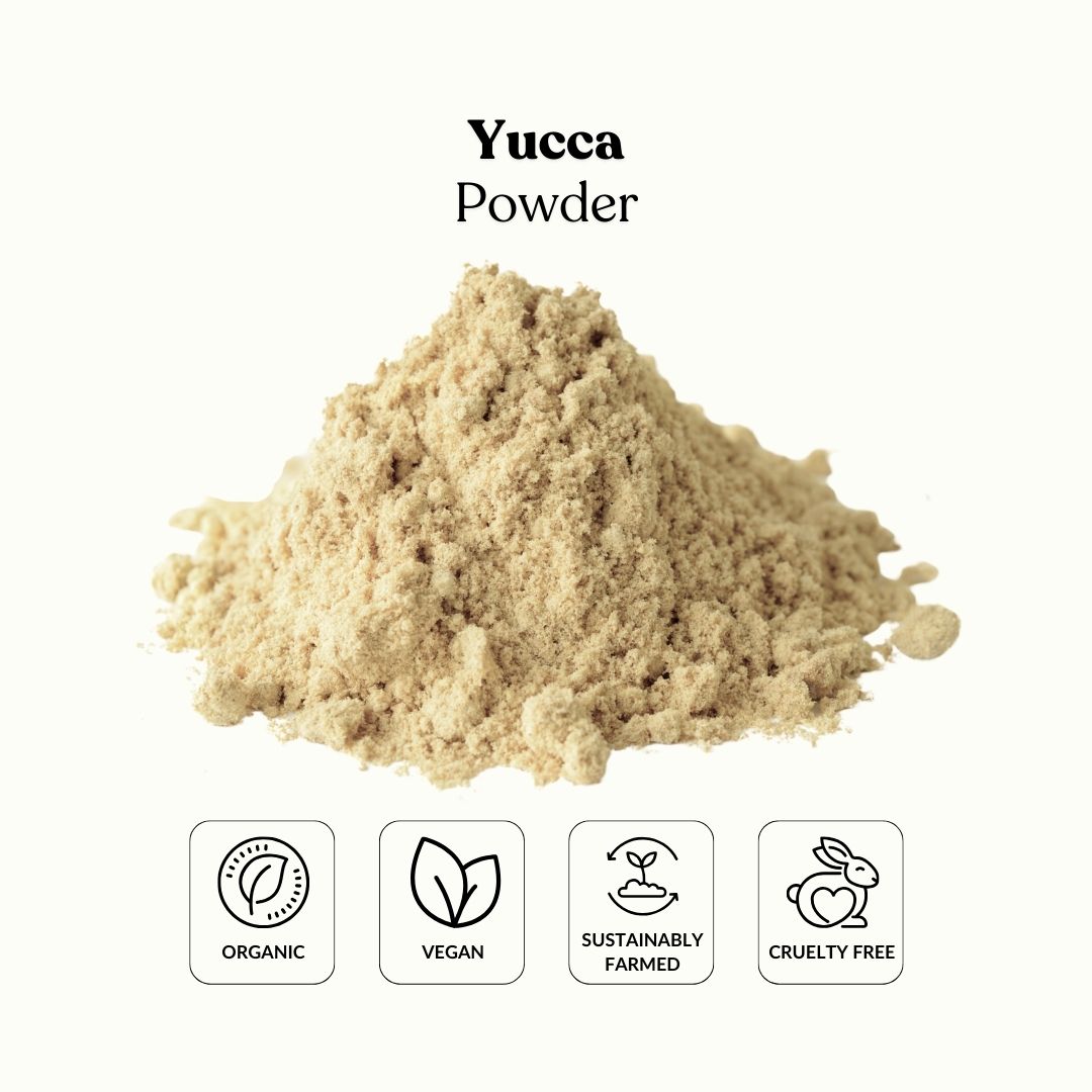 Yucca Powder