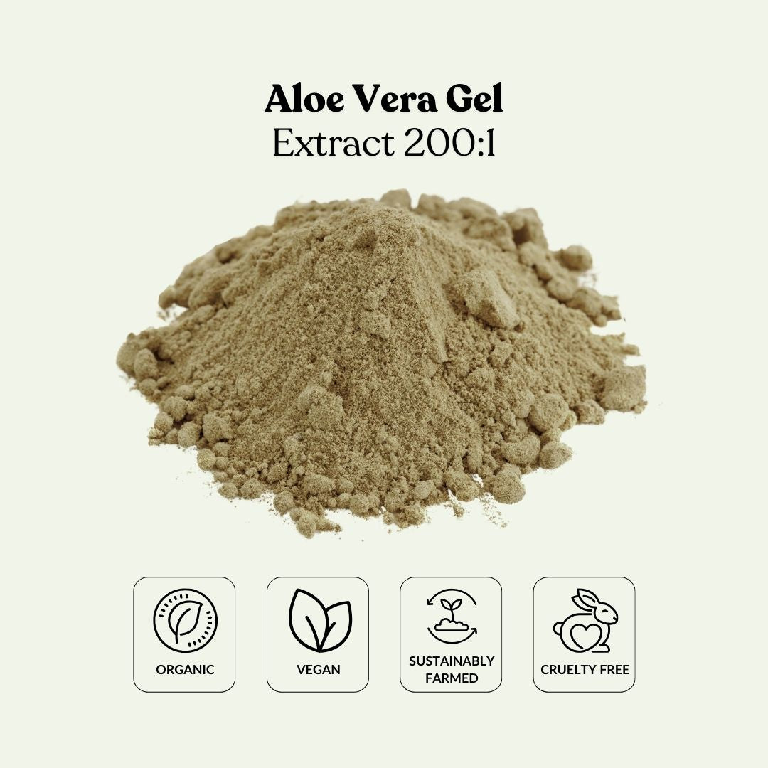 Aloe Vera Gel Extract 200:1