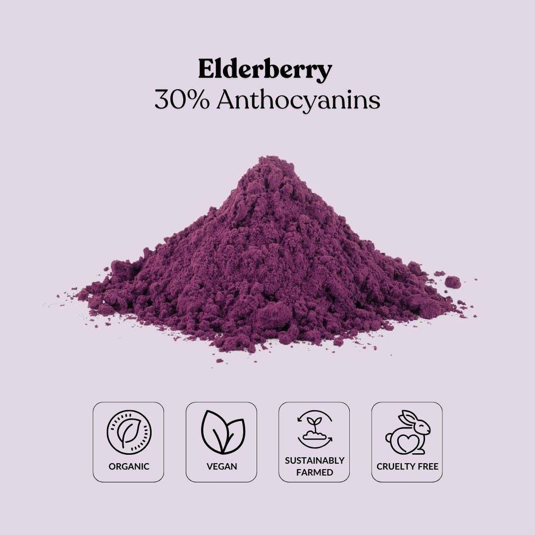 Elderberry 30% Anthocyanins