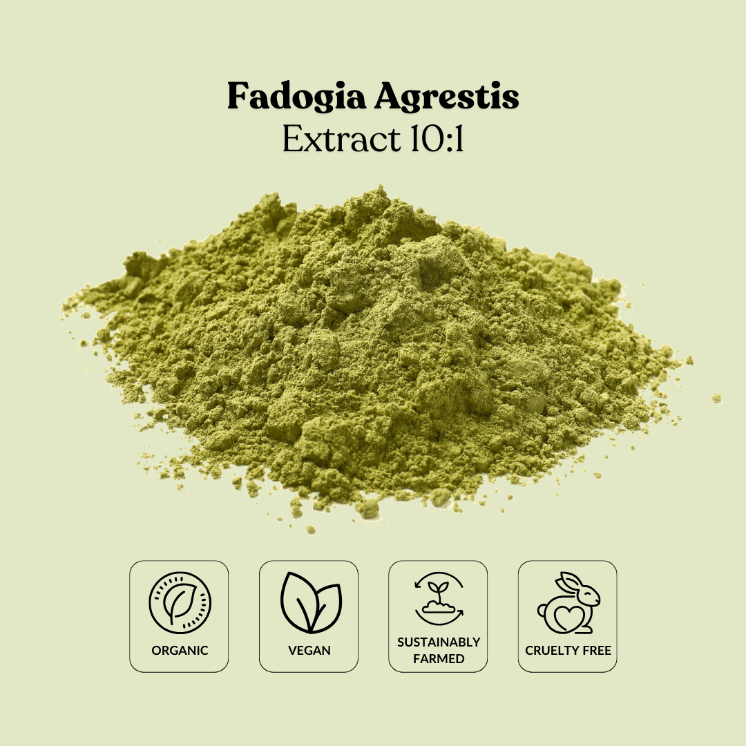 Fadogia Agrestis Extract 10:1