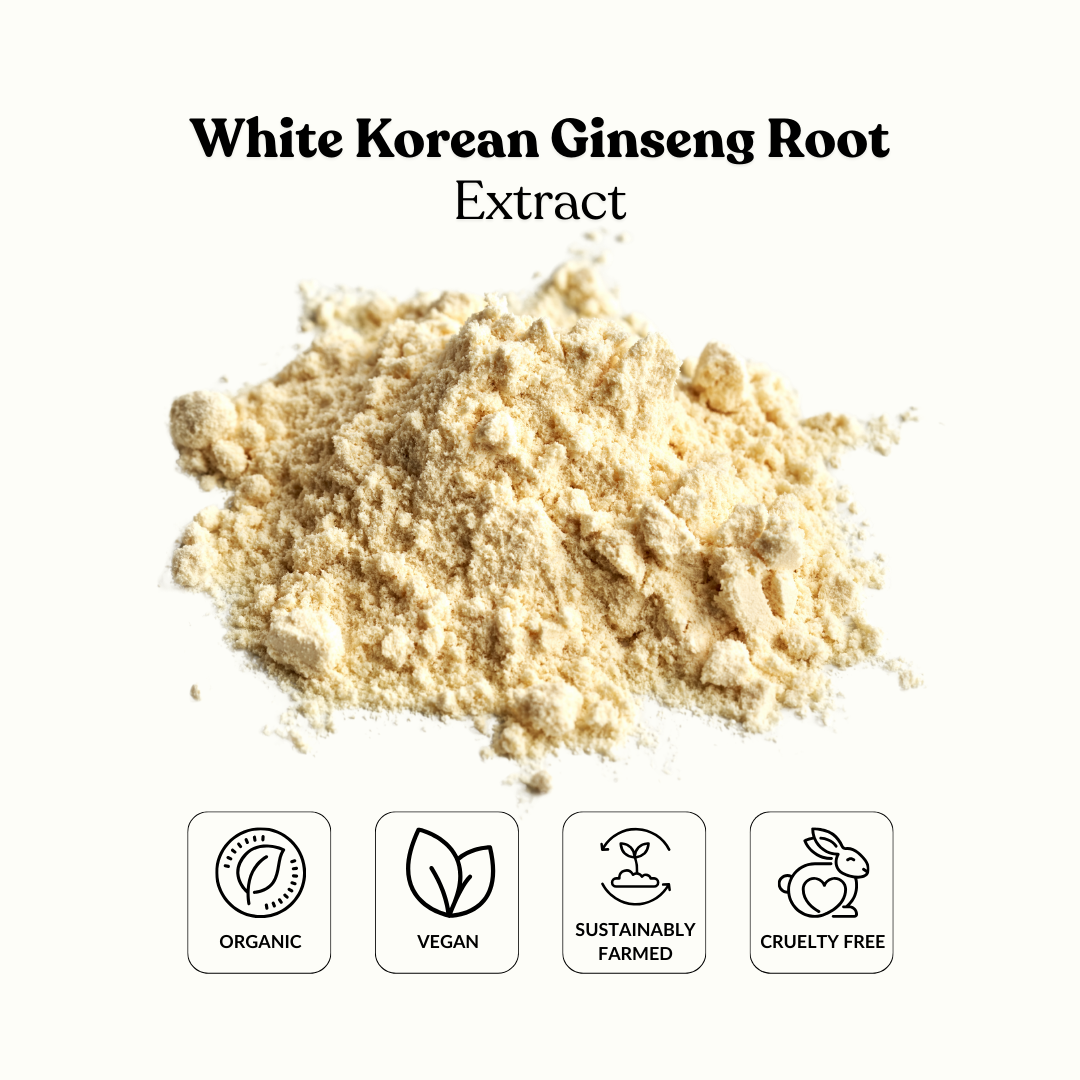 White Korean Ginseng Root Extract