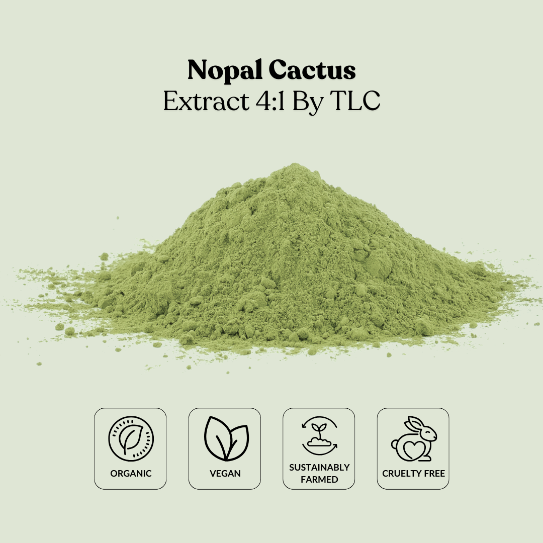 Nopal Cactus Extract 4:1 By TLC