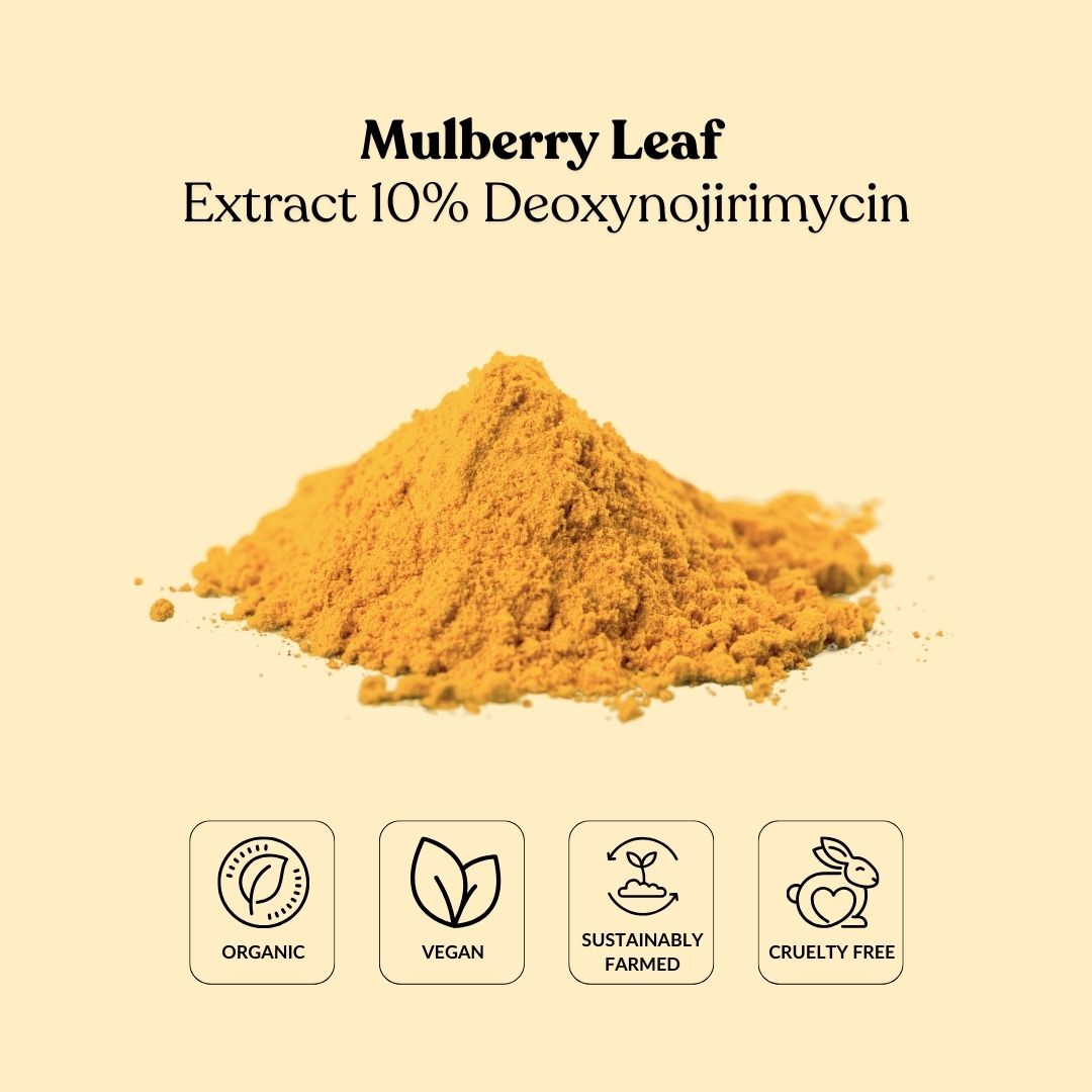 Mulberry Leaf Extract 10% Deoxynojirimycin