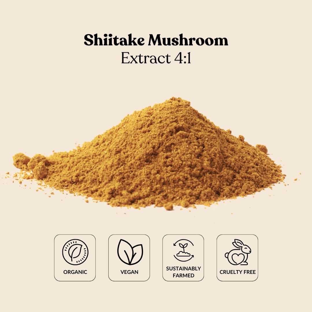 Shiitake Mushroom Extract 4:1
