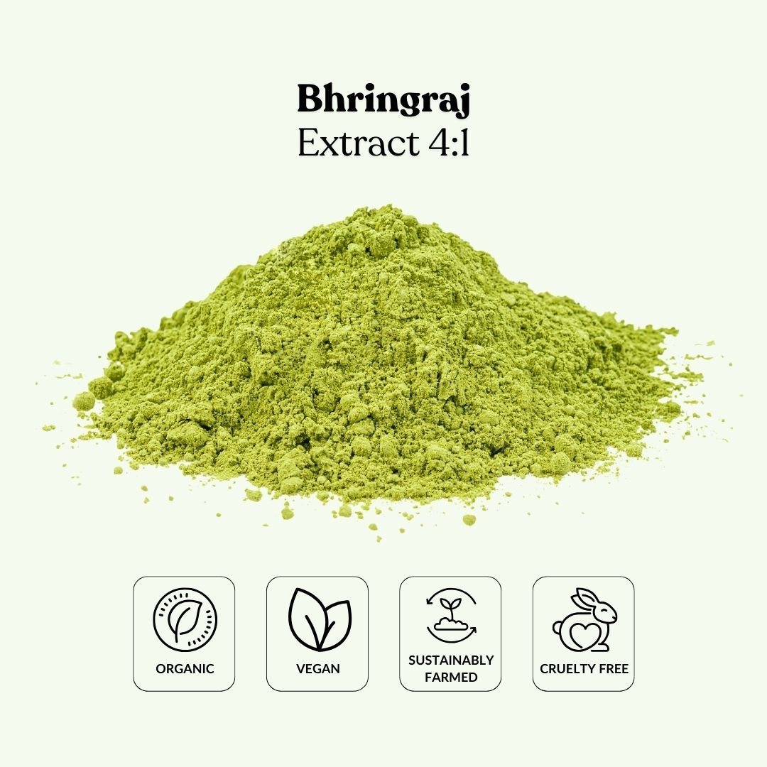 Bhringraj Extract 4:1