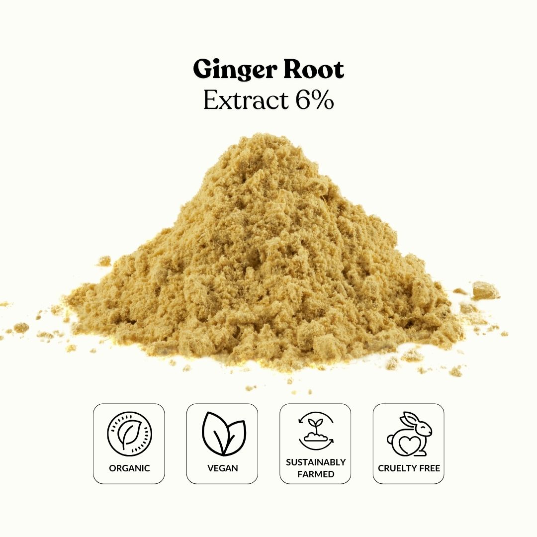 Ginger Root Extract 6%