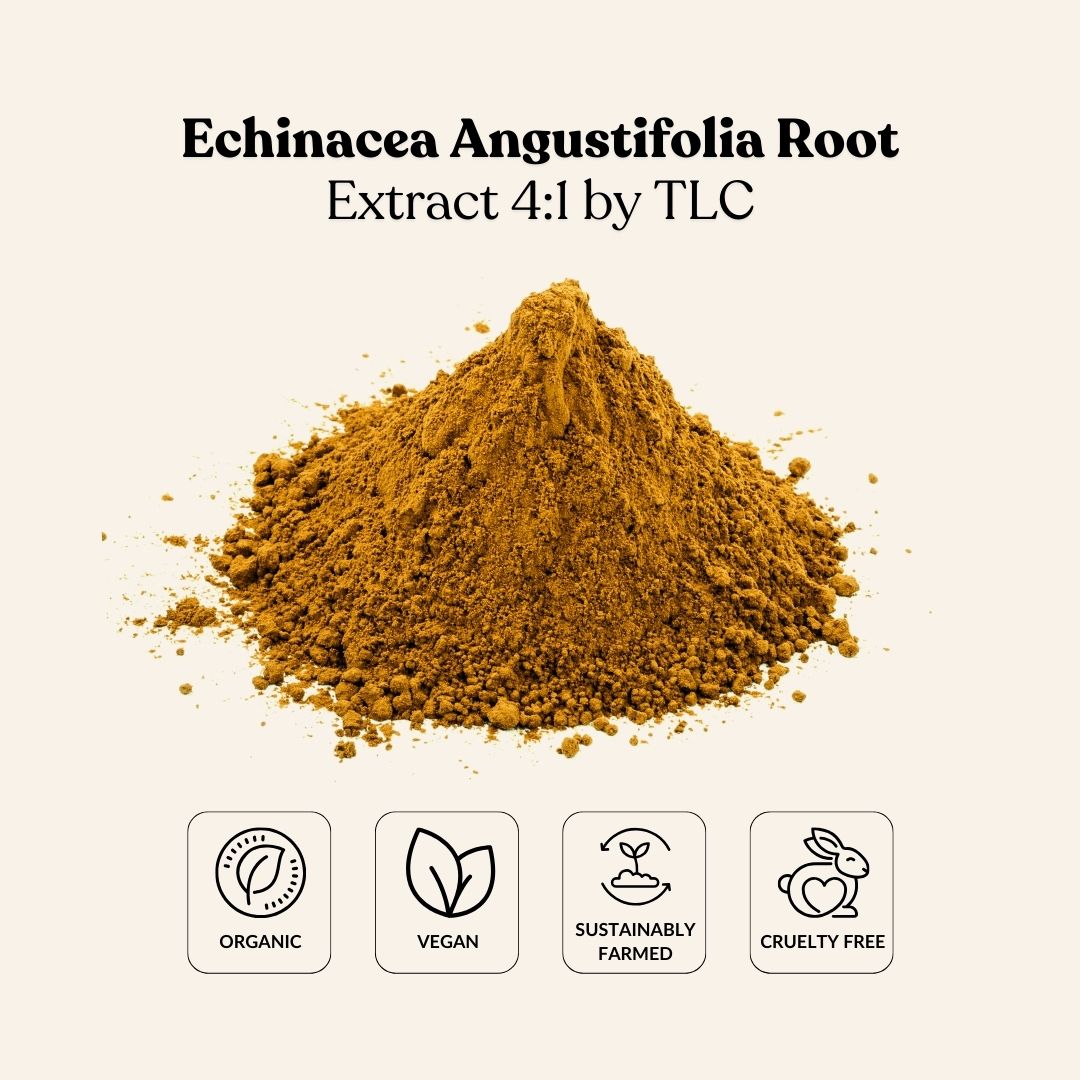 Echinacea Angustifolia Root Extract 4:1 by TLC