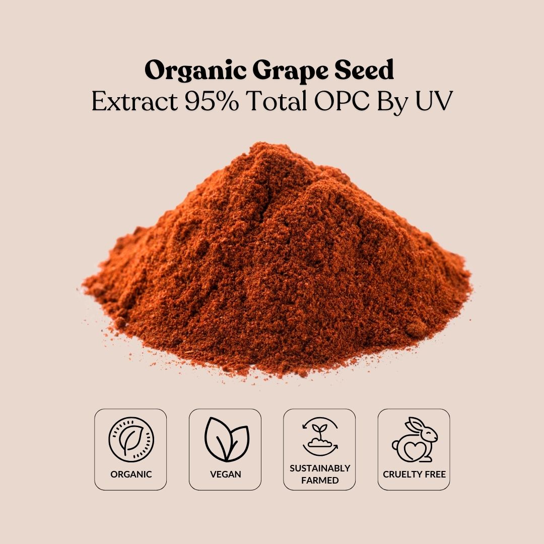 Organic Grape Seed Extract 95% Total OPC By UV