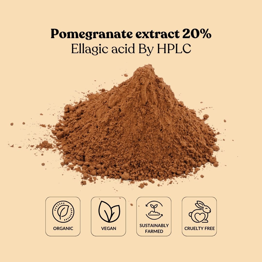 Pomegranate extract 20% Ellagic acid By HPLC