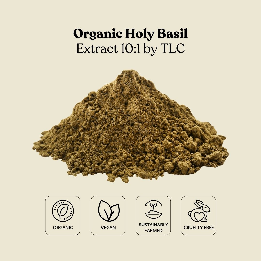 Organic Holy Basil Extract 10:1 by TLC