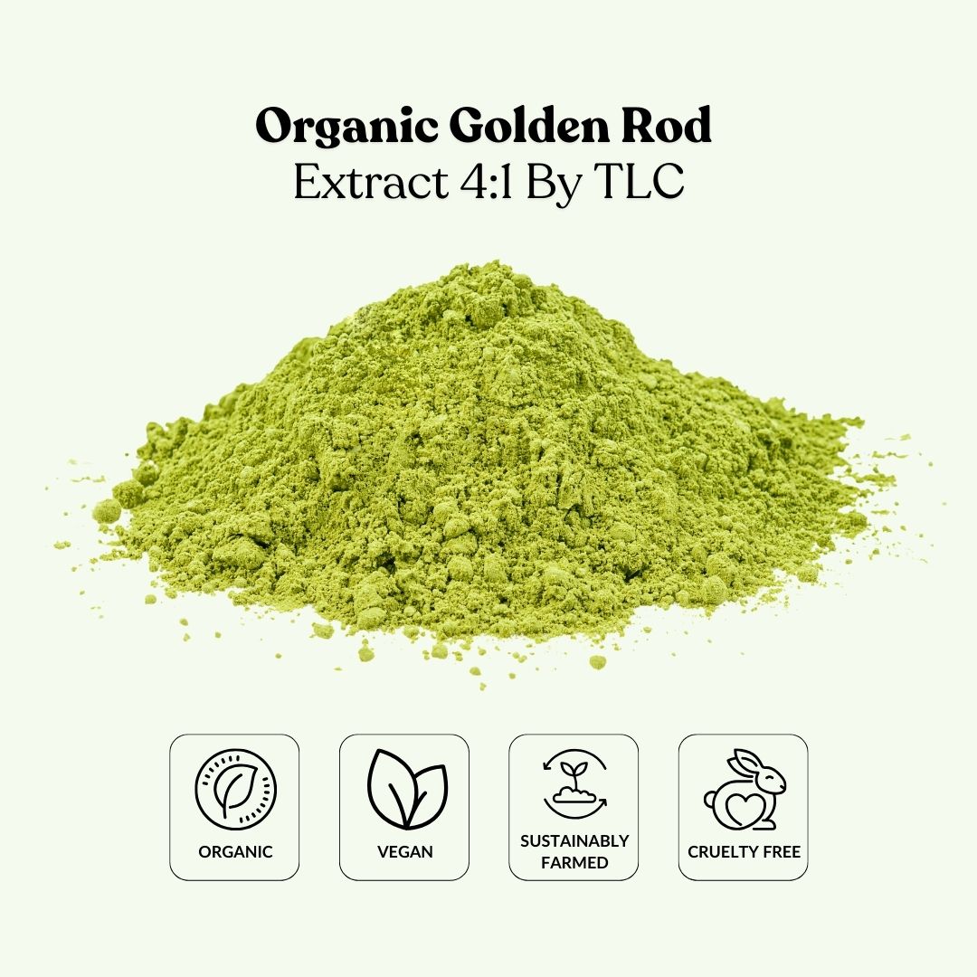Organic Golden Rod Extract 4:1 By TLC