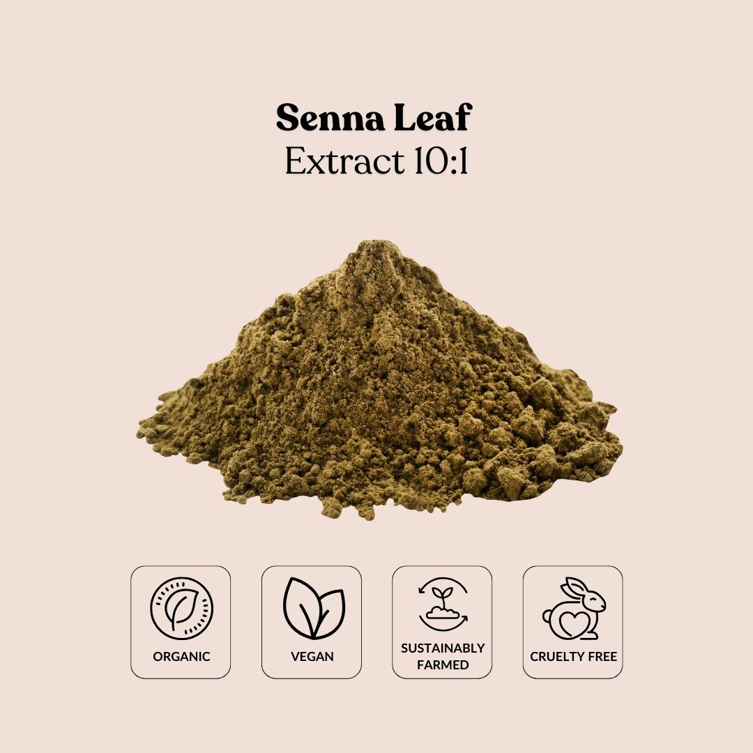 Senna Leaf Extract 10:1