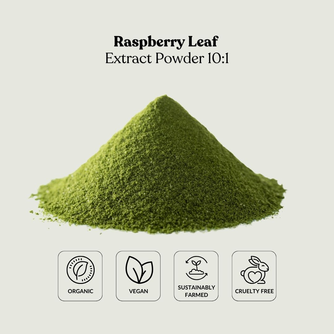 Raspberry Leaf Extract Powder 10:1