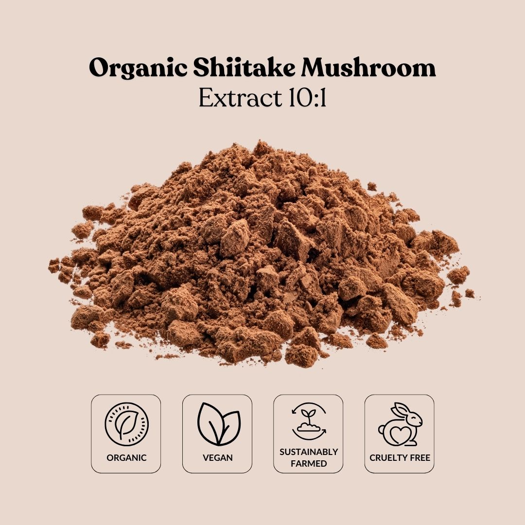 Organic Shiitake Mushroom Extract 10:1 by TLC