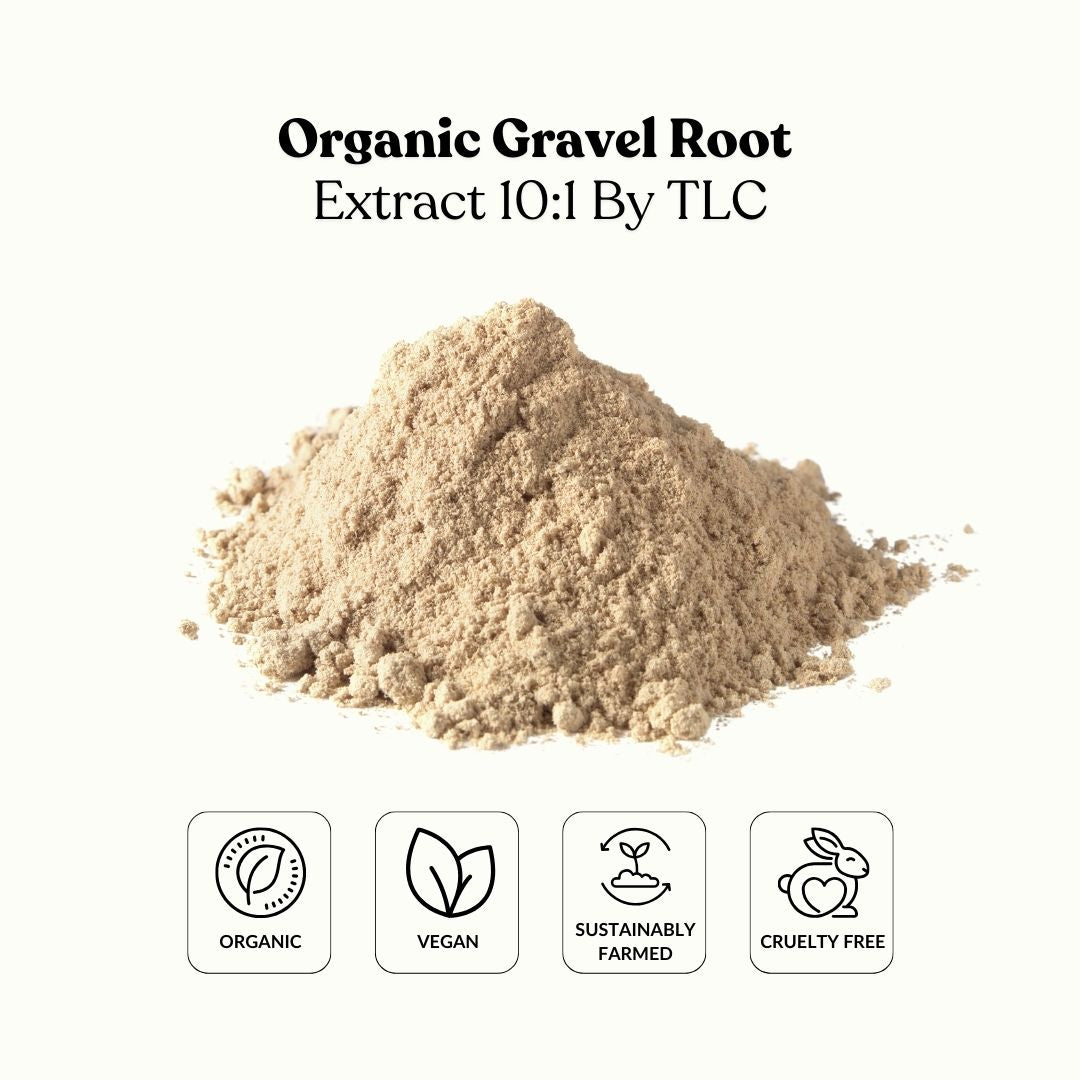 Organic Gravel Root Extract 10:1 By TLC