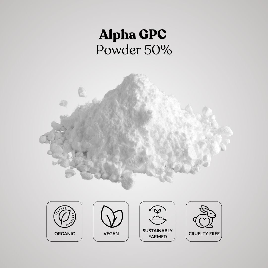 Alpha GPC Powder 50%