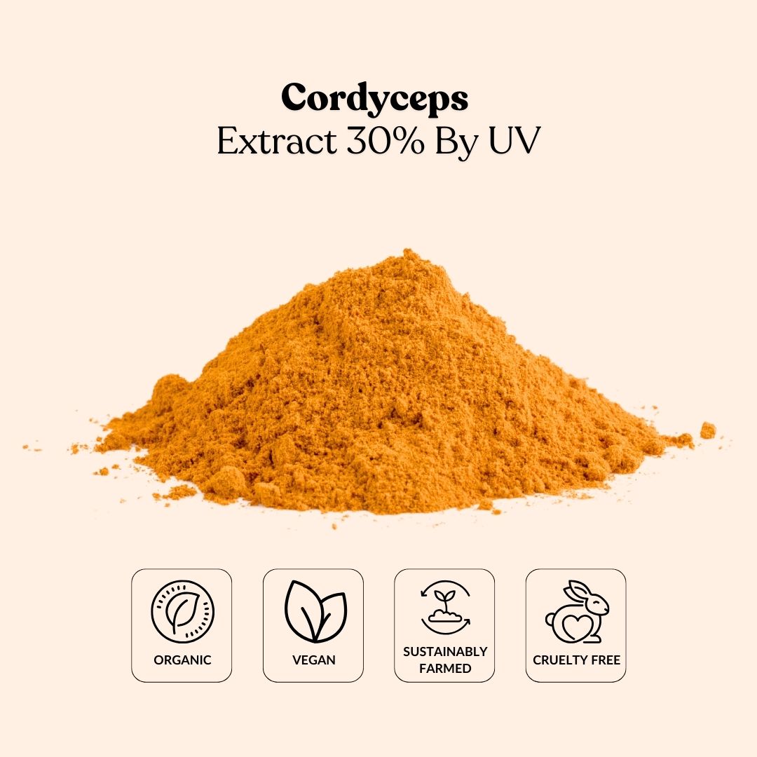 Cordyceps Extract 30% By UV
