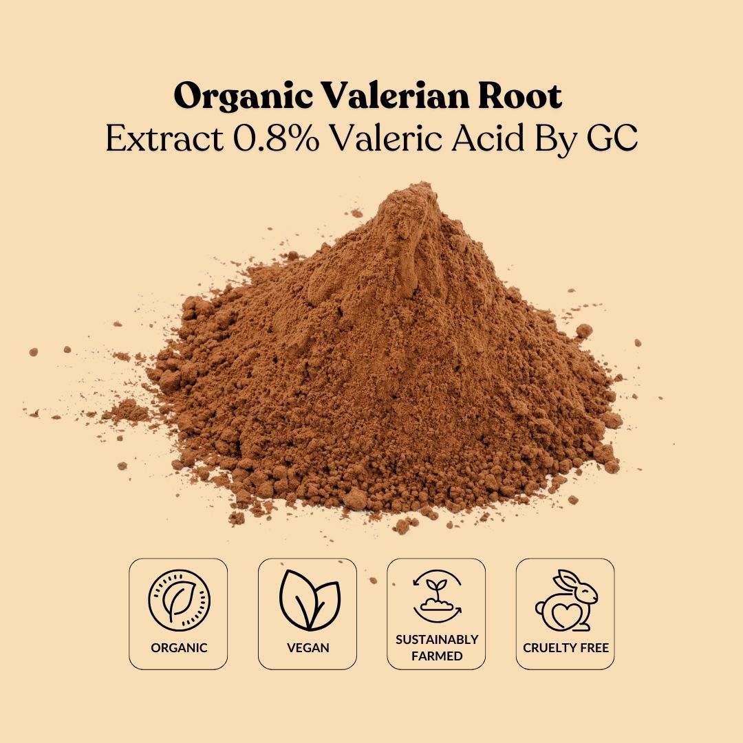Organic Valerian Root Extract 0.8% Valeric Acid By GC