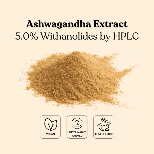 Ashwagandha Extract 5.0% Withanolides by HPLC