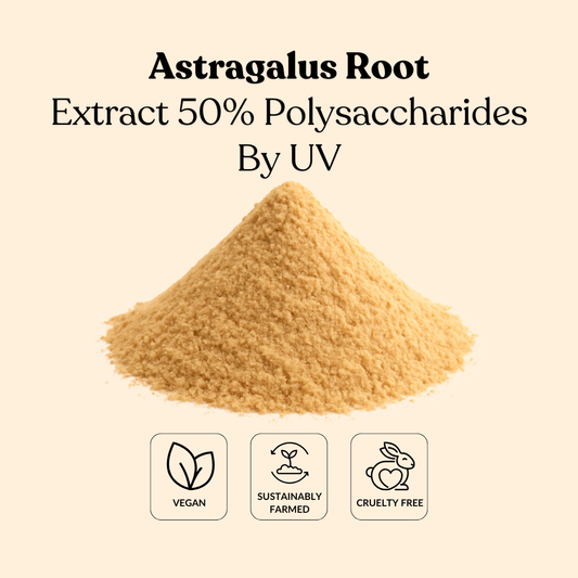 Astragalus Root Extract 50% Polysaccharides By UV