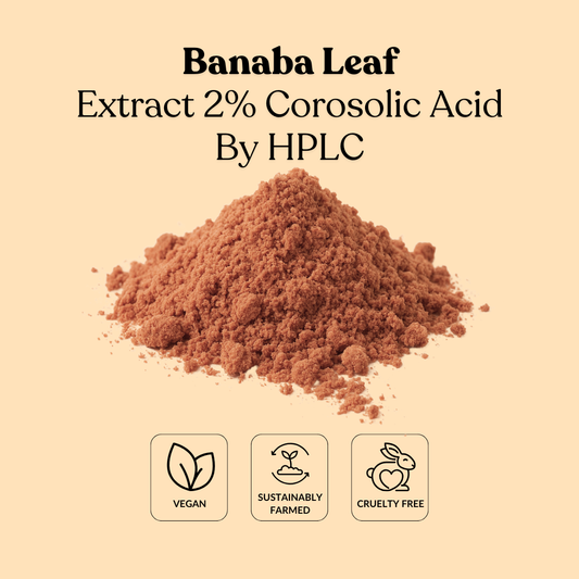 Banaba Leaf Extract 2% Corosolic Acid By HPLC