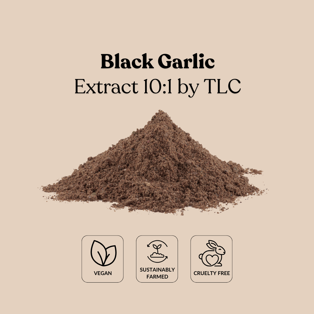 Black Garlic Extract 10:1 by TLC