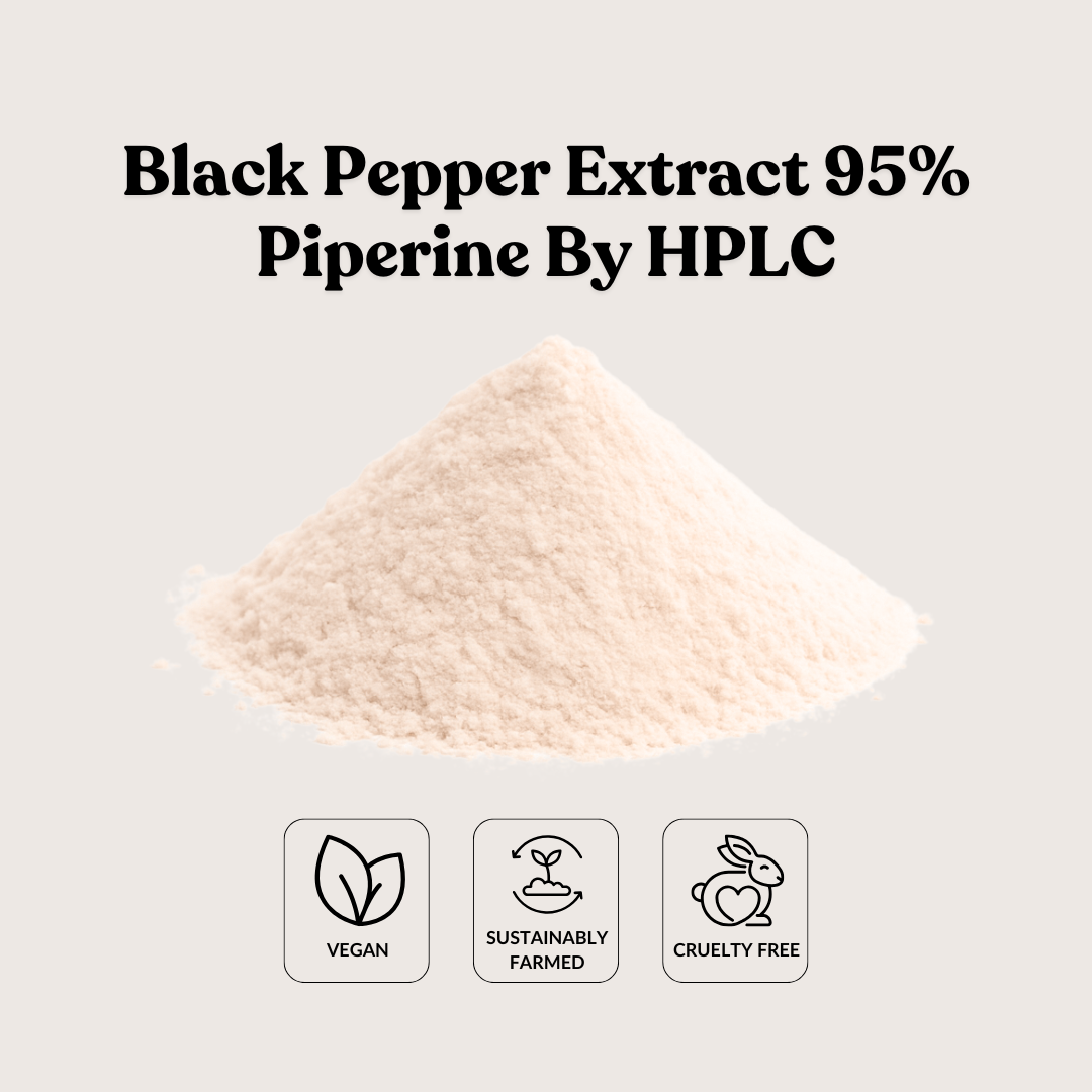 Black Pepper Extract 95% Piperine By HPLC