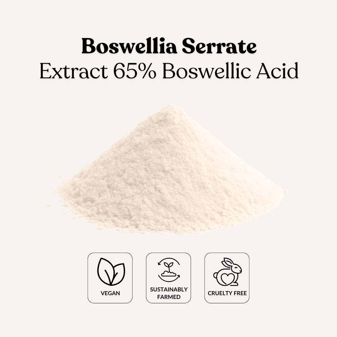 Boswellia Serrate Extract 65% Boswellic Acid