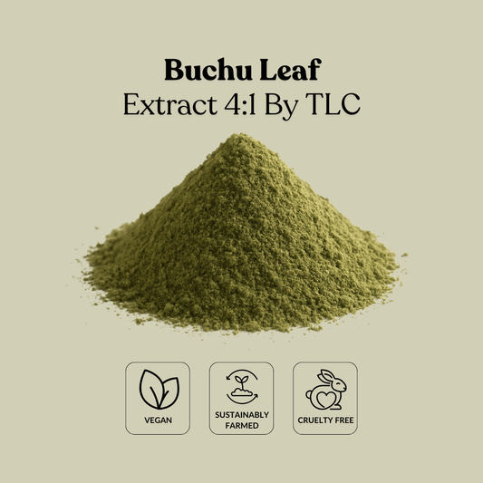 Buchu Leaf Extract 4:1 By TLC