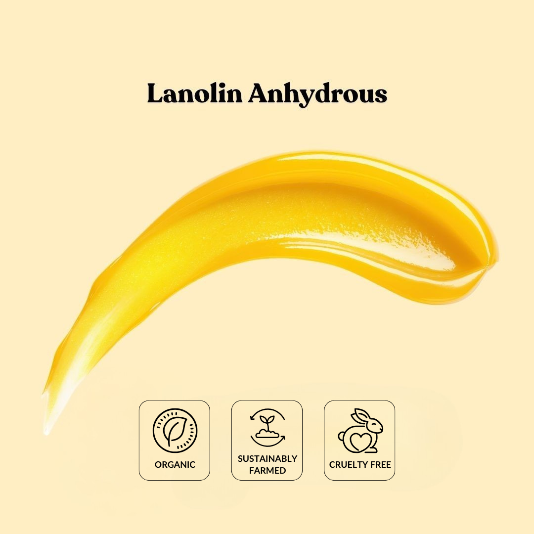 Lanolin Anhydrous