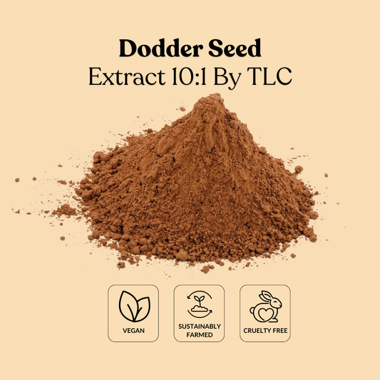 Dodder Seed Extract 10:1 By TLC
