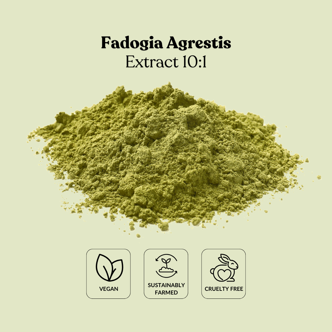 Fadogia Agrestis Extract 10:1 – Total Ingredients
