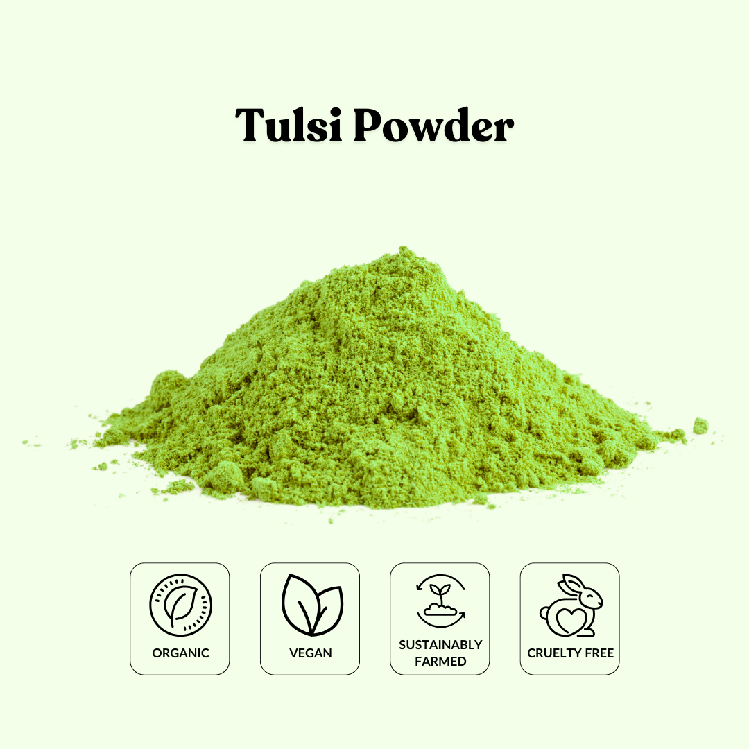 Tulsi Powder