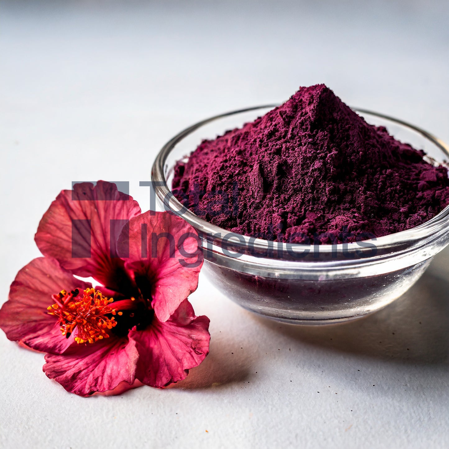 Organic Hibiscus Flower Extract 10:1