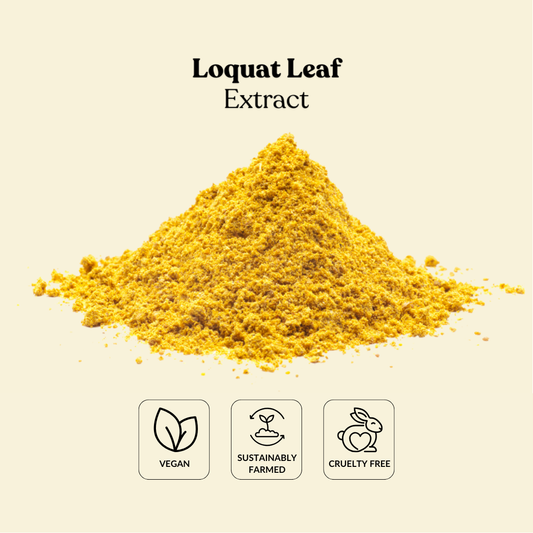 Loquat Leaf Extract