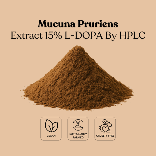 Mucuna Pruriens Extract 15% L-DOPA By HPLC