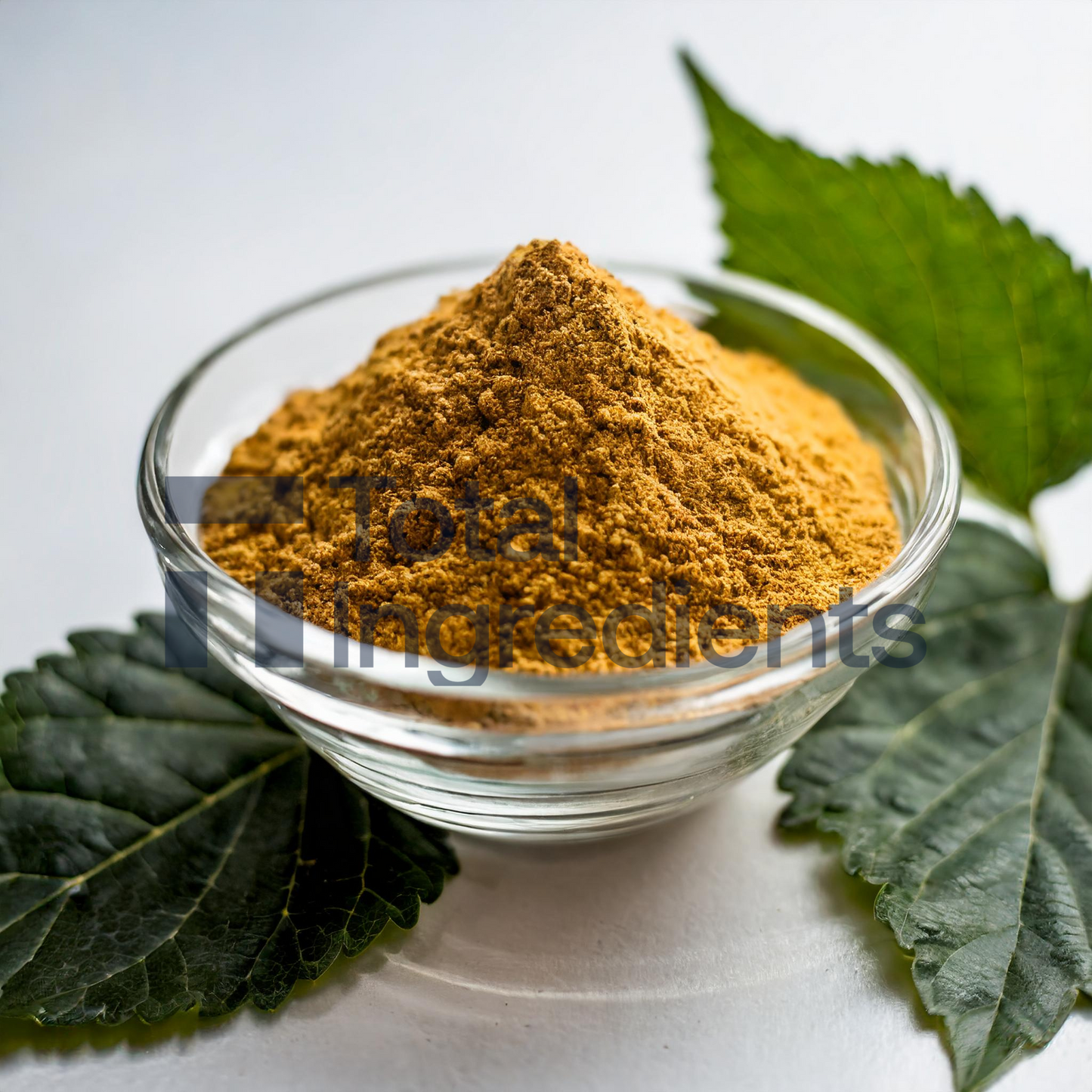 Mulberry Leaf Extract 10% Deoxynojirimycin
