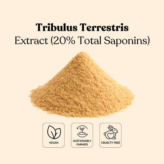 Tribulus Terrestris Extract (20% Total Saponins)